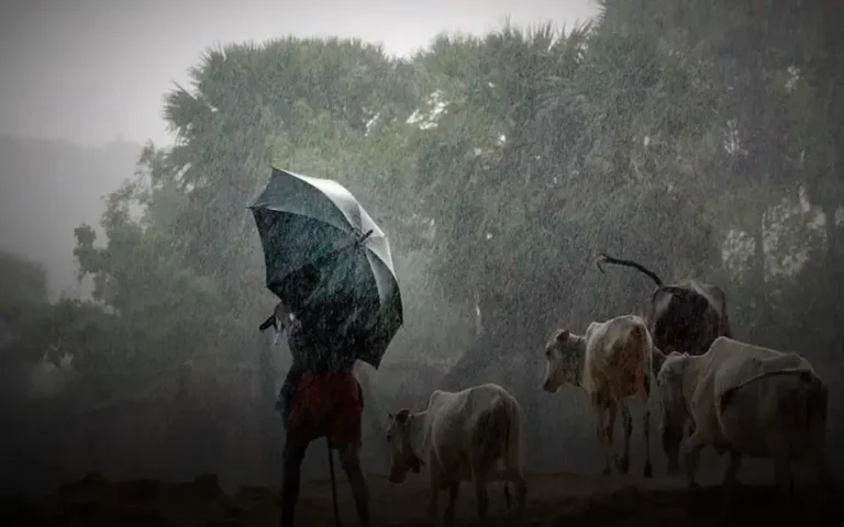 আগামী ৭২ ঘন্টার মধ্যে বৃষ্টিপাতের সম্ভাবনা।
