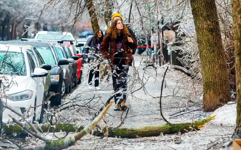 কানাডায় তুষার ঝড়ে বিদ্যুৎ বিচ্ছিন্ন ১০ লাখেরও বেশি মানুষ।