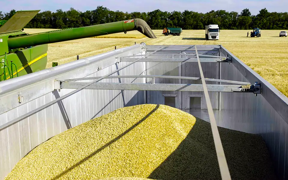 ইউক্রেন থেকে শস্য ও অনান্য খাদ্য আমদানি নিষিদ্ধ করেছে পোল্যান্ড ও হাঙ্গেরি