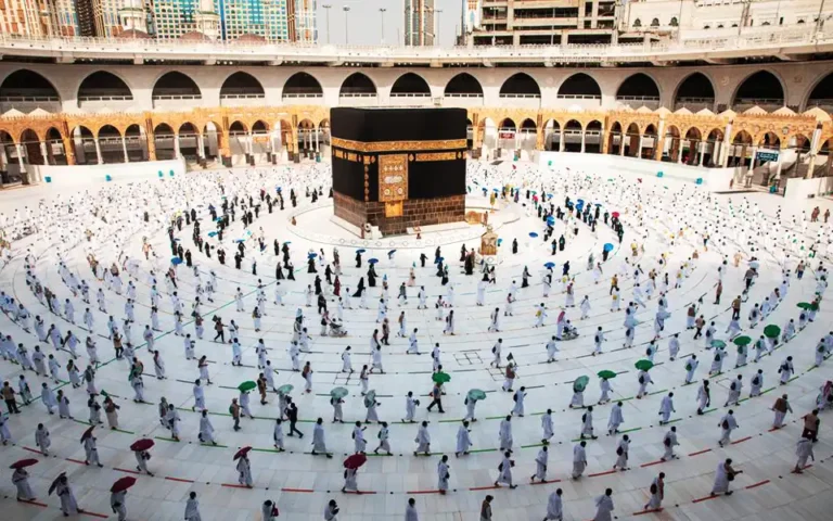 সৌদি আরবে পৌঁছেছেন ৩৮৭৯ হজযাত্রী