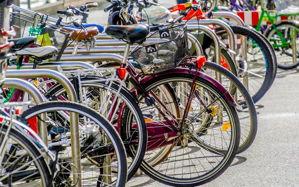 কুমিল্লায় বাইসাইকেল পেলো ৪৫৪ জন গ্রাম পুলিশ