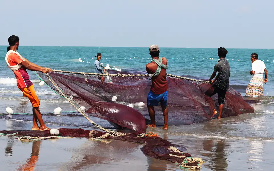 ২০ মে থেকে ৬৫ দিন সাগরে মাছ ধরা নিষেধ