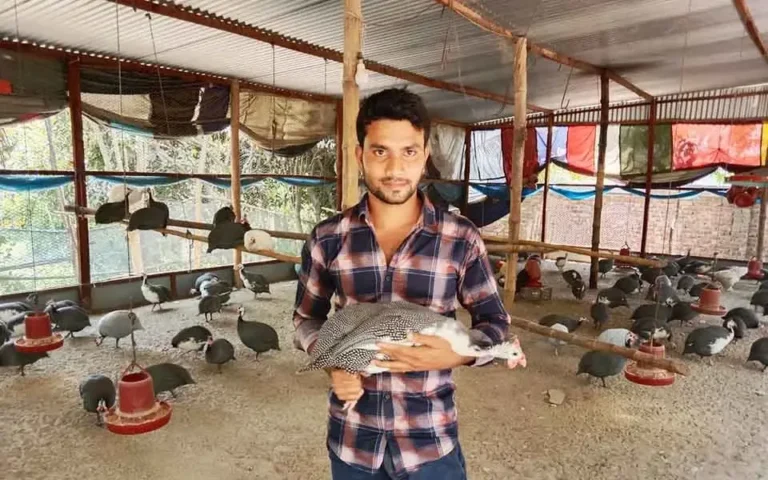 কুমিল্লার হোমনায় তিতির পাখি পালনে স্বাবলম্বী ইকবাল