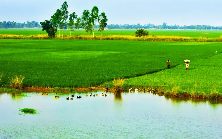 কুমিল্লার মানুষ ডিজিটাল ভূমি ব্যবস্থাপনার সুফল পাচ্ছে