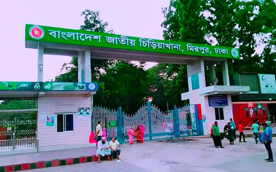 ঢাকা চিড়িয়াখানায় হায়েনার কামড়ে শিশুর হাত বিচ্ছিন্ন