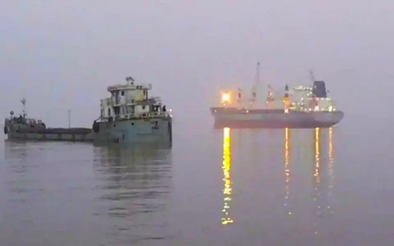 রামপাল বিদ্যুৎকেন্দ্রের কয়লা নিয়ে মোংলায় চীনা জাহাজ