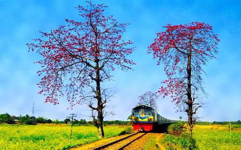 ঈদুল আজহা: আজ থেকে ট্রেনের অগ্রিম টিকিট বিক্রি শুরু