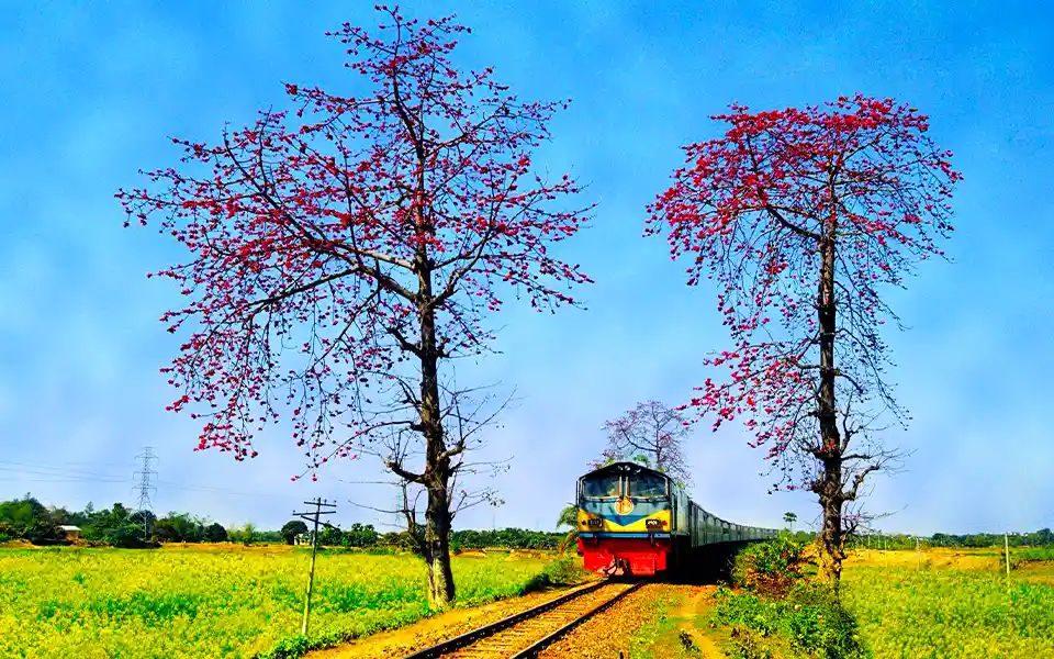 ঈদুল আজহা: আজ থেকে ট্রেনের অগ্রিম টিকিট বিক্রি শুরু