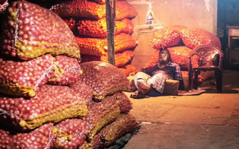 প্রথম দিনে ভারত থেকে এলো ৭১ ট্রাক পেঁয়াজ