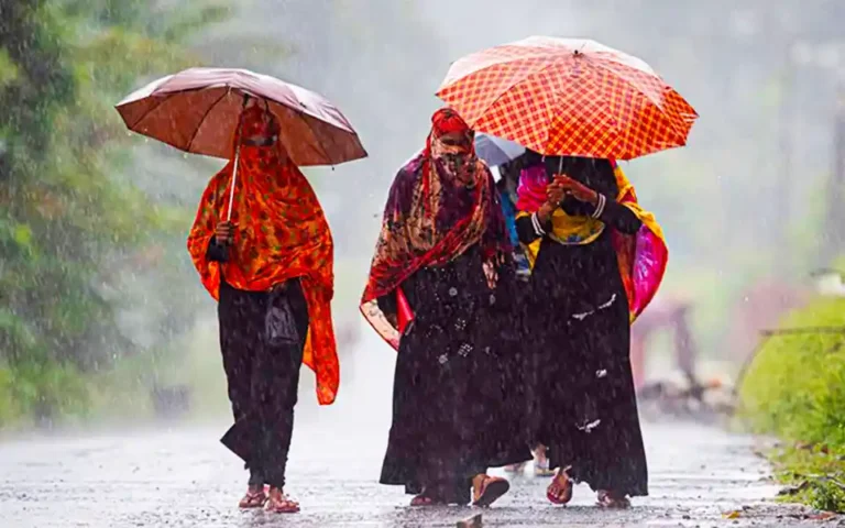 Rain forecast across the country today, No. 1 warning signal in river ports