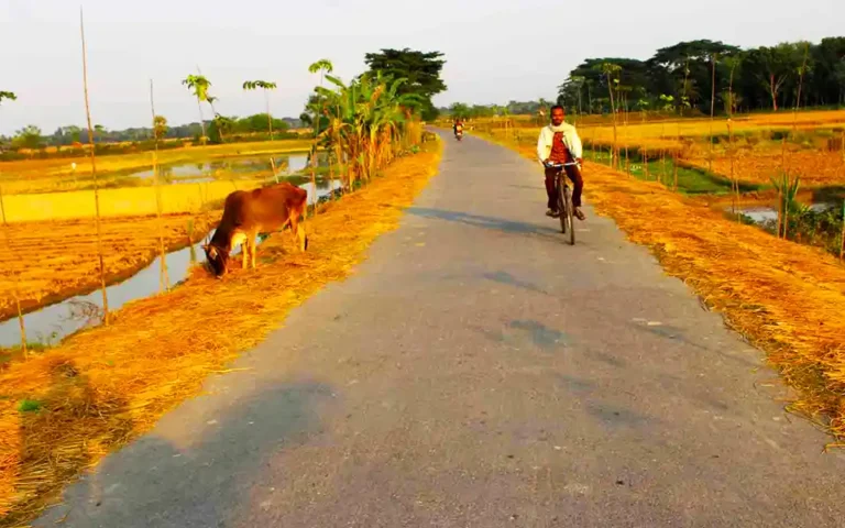 The scene has changed in Comilla, the village has the convenience of the city