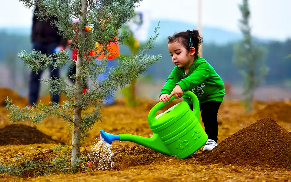 বৃক্ষরোপন: যে দেশে গ্রাজুয়েশন শেষ করতে লাগাতে হবে ১০টি গাছ