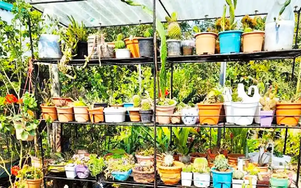 Abu Naeem's Botanical Museum of Comilla