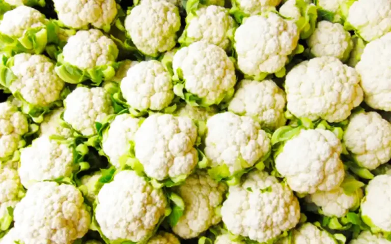 Bumper crop of cauliflower in summer in Comilla, successful farmer with risk