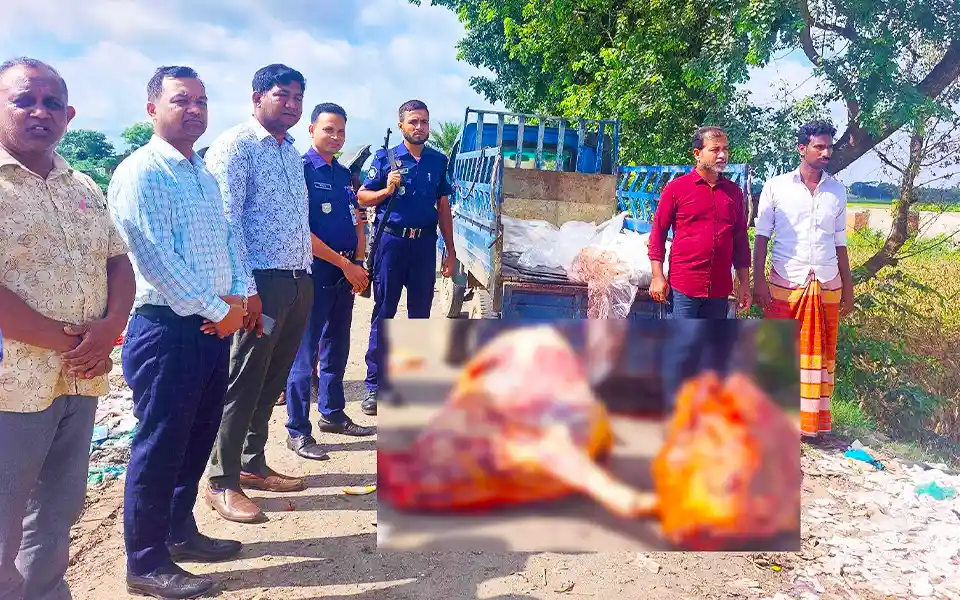 Dog-bitten sick-pregnant cows slaughtered and attempted to sell meat