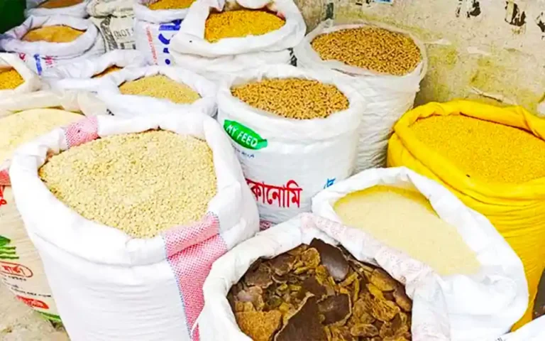 Free fodder distribution among 229 farmers in Comilla