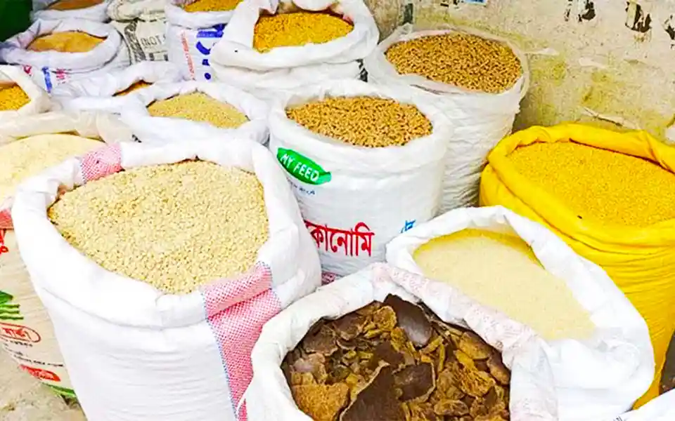 Free fodder distribution among 229 farmers in Comilla