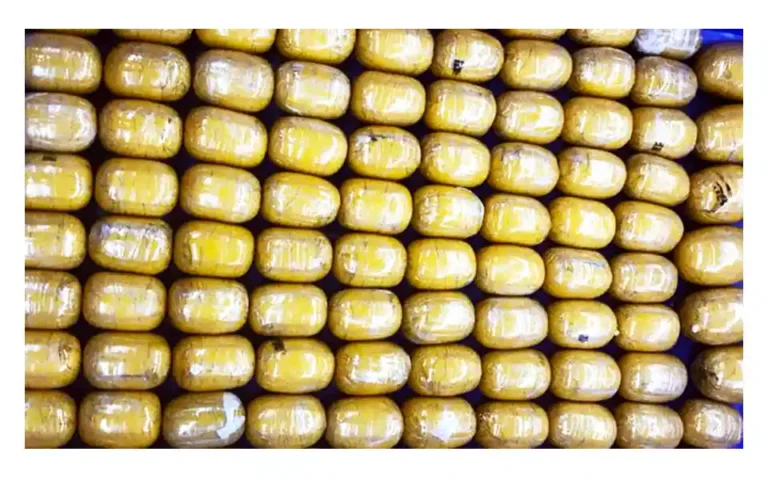 Gold worth Tk 30 crore recovered at Shahjalal airport