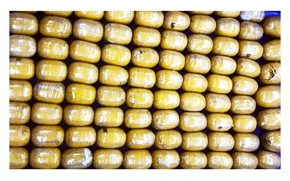 Gold worth Tk 30 crore recovered at Shahjalal airport