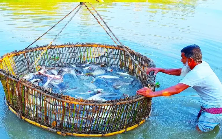 National Fisheries Week-2023 starts today