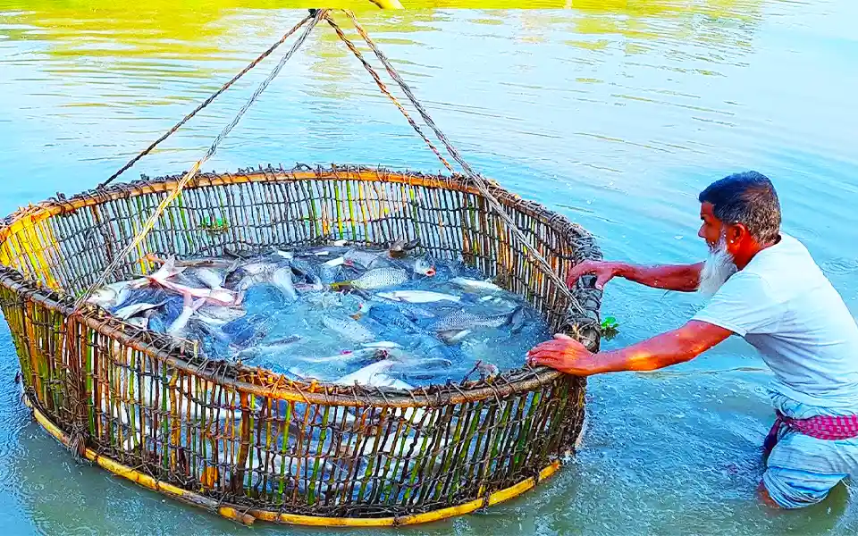 National Fisheries Week-2023 starts today