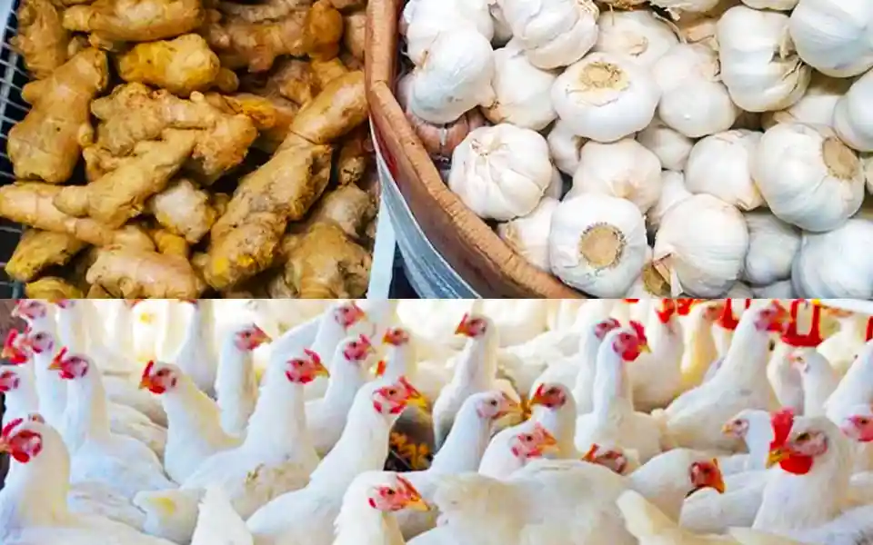 The price of ginger-garlic-chicken has decreased in the market, the price of vegetables has increased
