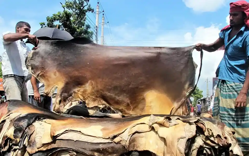 Traders are busy selling leather in Comilla