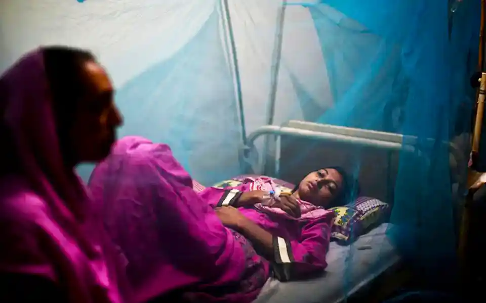 12 people died due to dengue in the country, 2844 were hospitalized