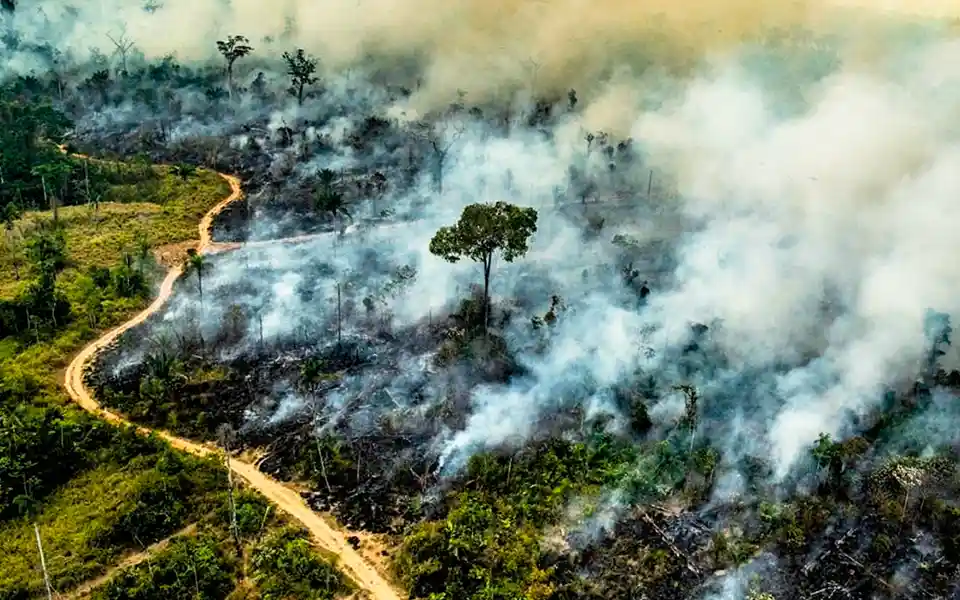 8 countries join forces to protect Amazon, known as the 'Lungs of the Earth'
