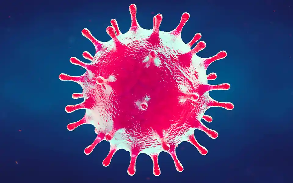 'Disease X' is spreading after Corona, it will spread around the world!