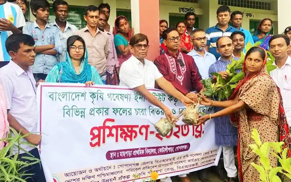 Plantation of 1 lakh 20 thousand fruit trees in Gopalganj