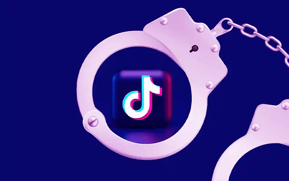 tiktoker arrested - RisingCumilla