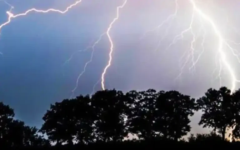 10 killed, 3 injured in lightning strike in Odisha, India