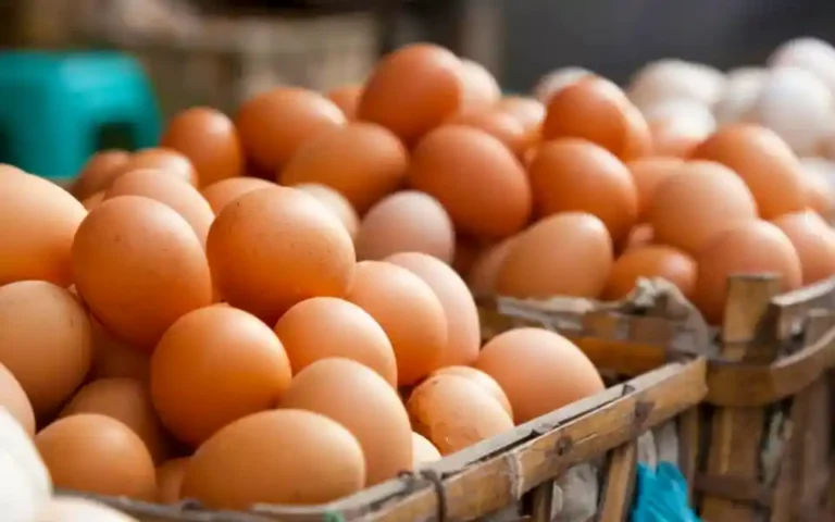 4 crore eggs will be imported from India to Bangladesh