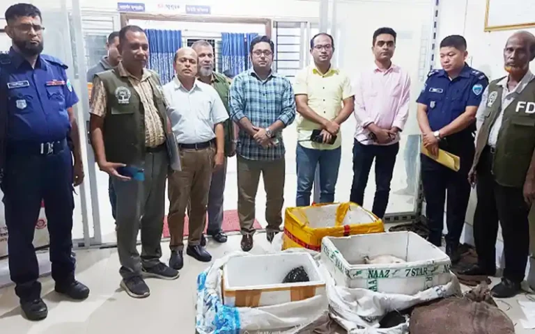 45 turtles recovered in Chouddagram of Comilla, 1 detained on charges of trafficking