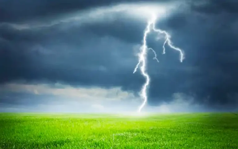 A farmer died due to lightning in Comilla's Amratali