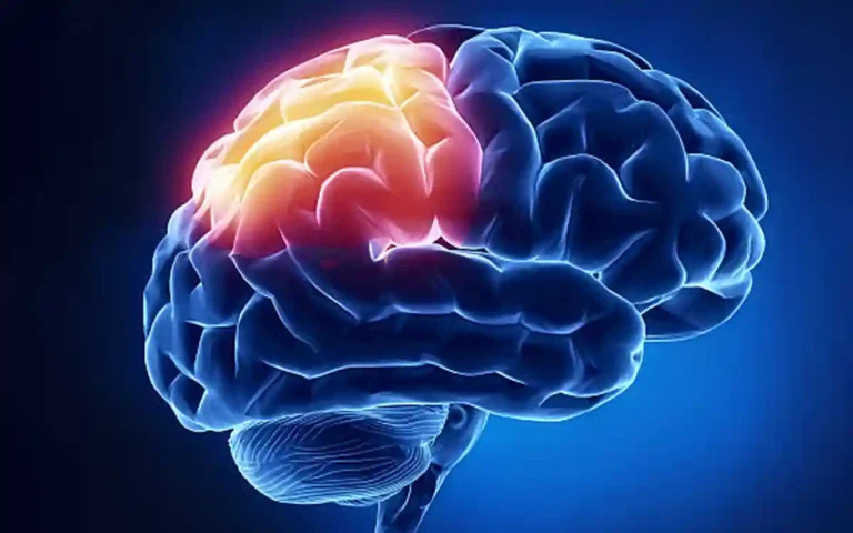 মস্তিষ্কের স্বাস্থ্য রক্ষায় এই বদঅভ্যাসগুলো এড়িয়ে চলুন