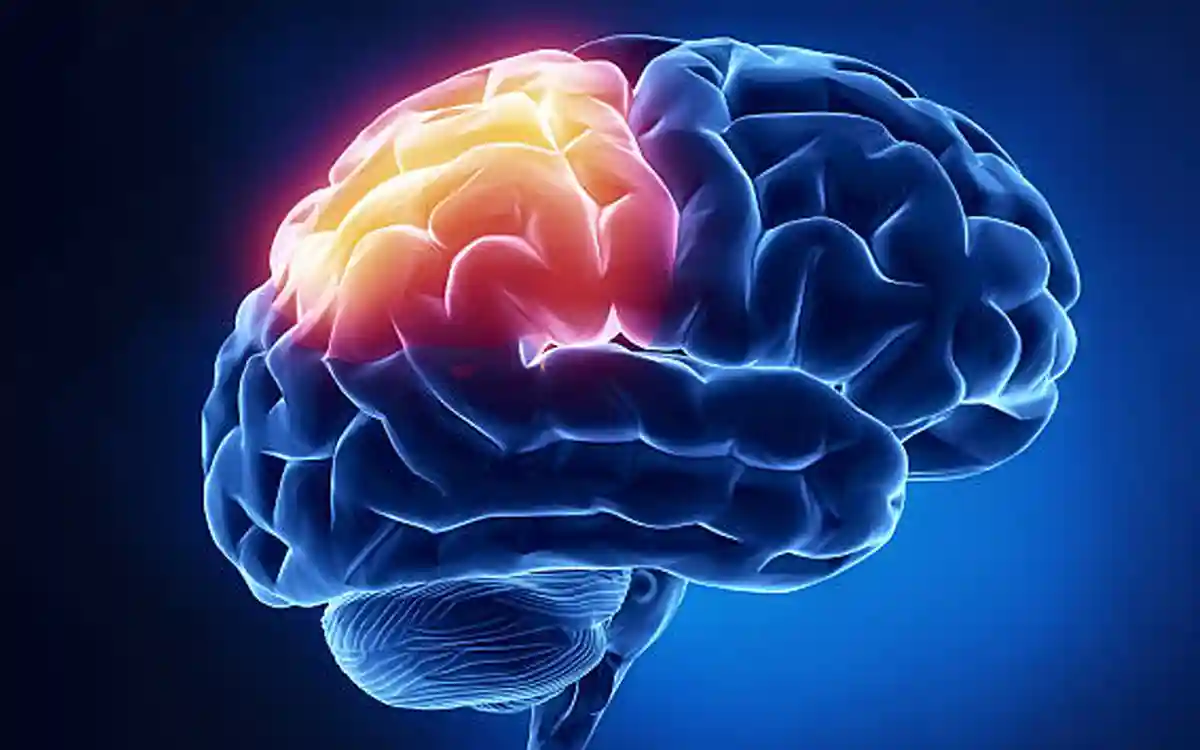 মস্তিষ্কের স্বাস্থ্য রক্ষায় এই বদঅভ্যাসগুলো এড়িয়ে চলুন