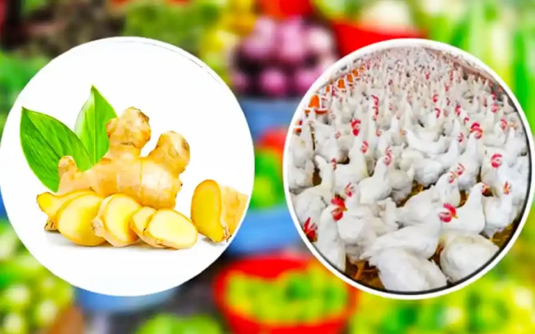 Chicken and ginger prices have increased, egg-potato-onion are not being sold at fixed prices
