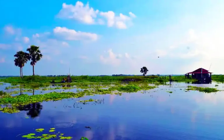 Comilla Ghurghar bill is like the state of Shapla, the visitors are thronging