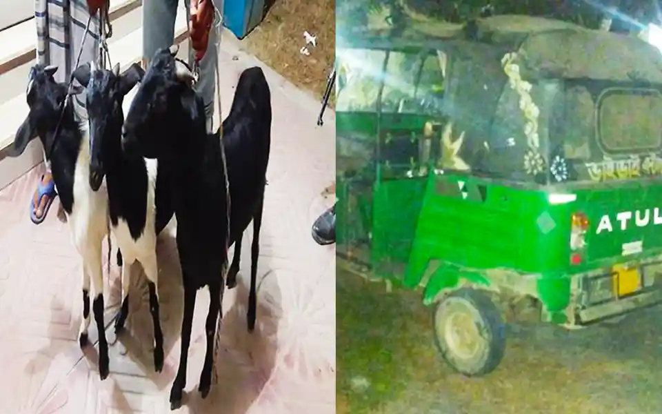 They used to steal goats by traveling around different areas using CNG