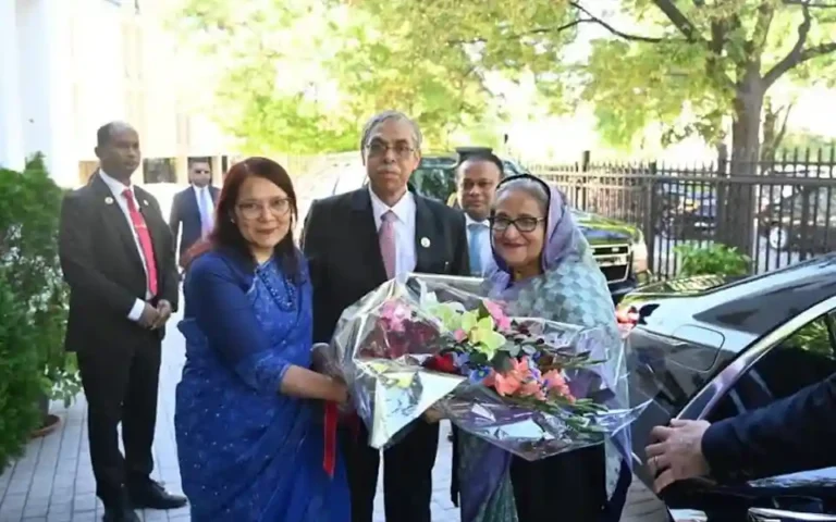 দেশের ভাবমূর্তি আরো জোরদার করতে কাজ করুন: প্রধানমন্ত্রী