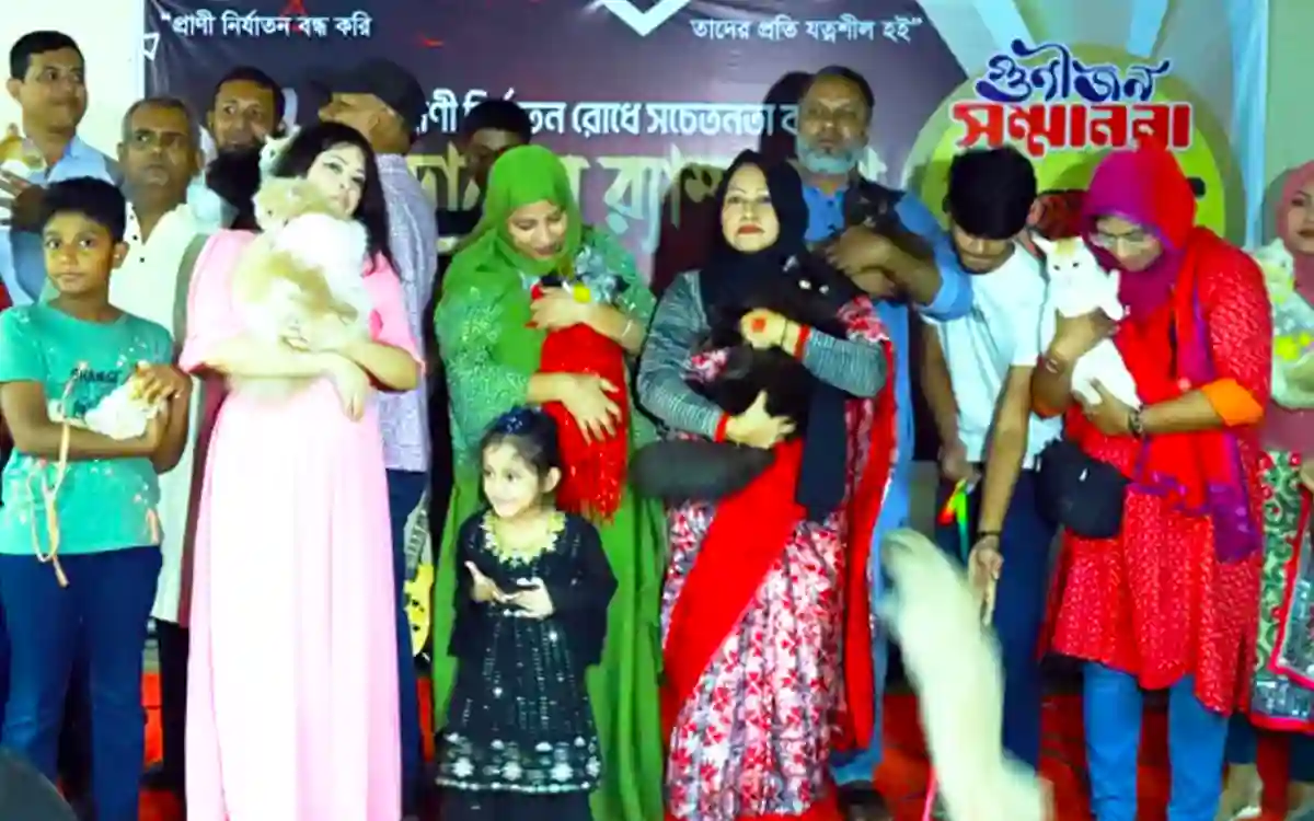 A cat ramp show was held in Cumilla