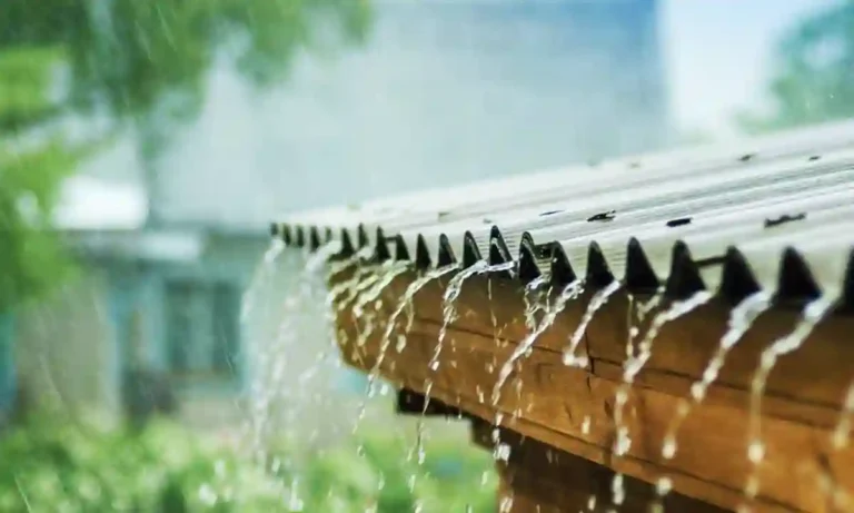 Chance of heavy rain with thunder in the next 2 days across the country