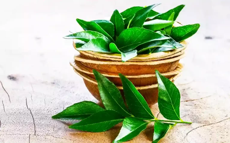 Curry leaves can be eaten to control diabetes and stop hair loss