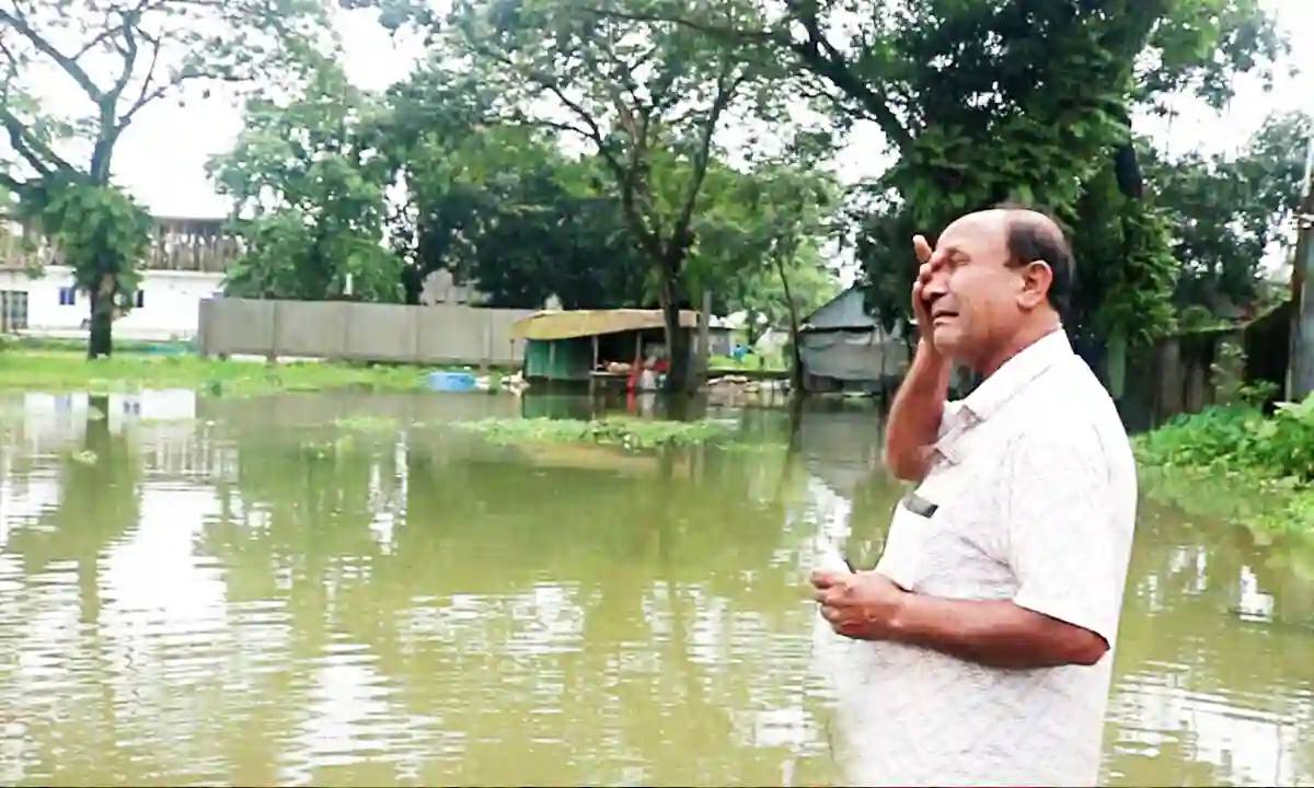 Fish worth 73 lakh taka were washed away due to continuous rain