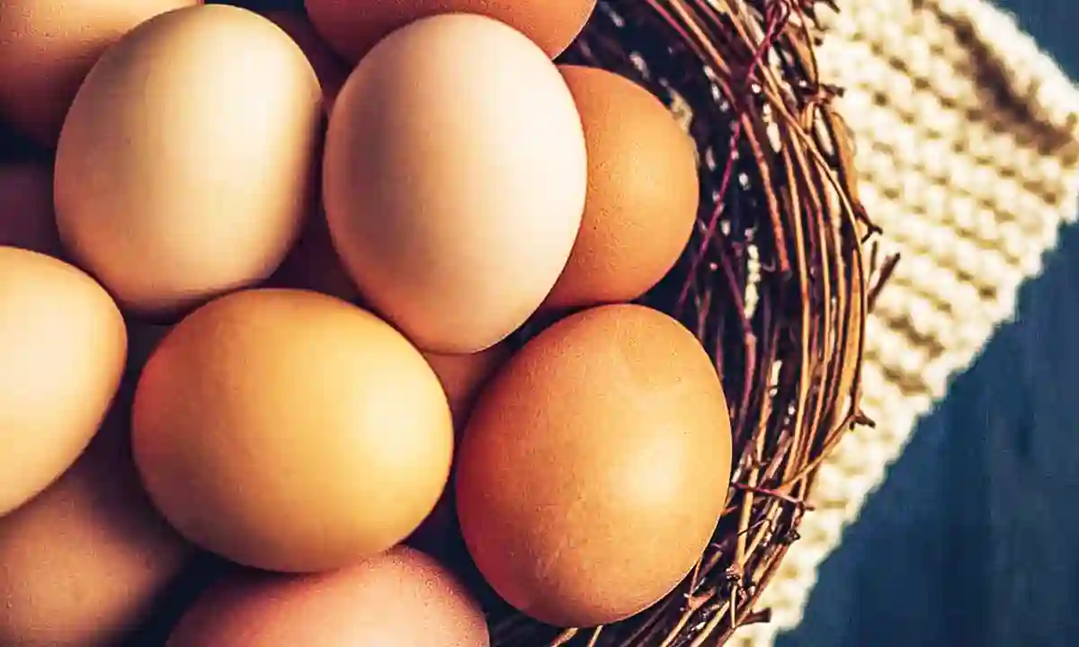 Imported eggs