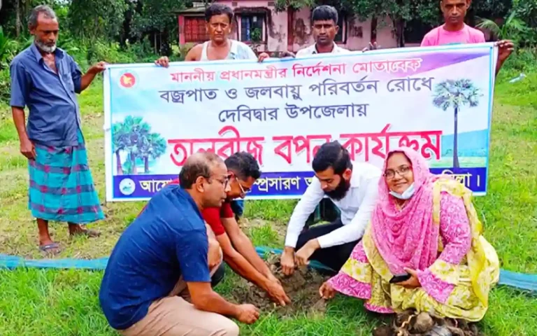 Sowing 8 thousand palm tree seeds in Debidwar, Cumilla