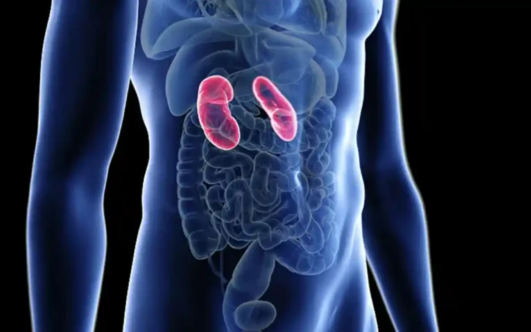 কিডনি সুস্থ রাখতে যা করতে হবে, জেনে নিন ১০টি সহজ উপায়