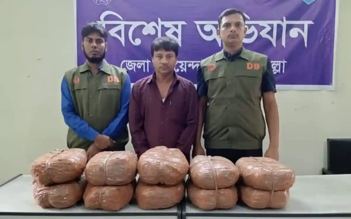 কুমিল্লায় ২০ কেজি গাঁজাসহ মাদক ব্যবসায়ী গ্রেফতার